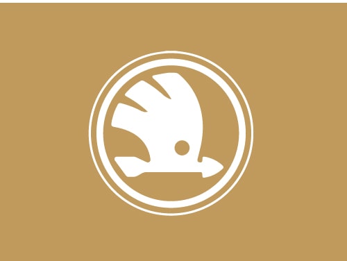 Skoda Icon